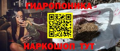 Альфа ПВП Славгород