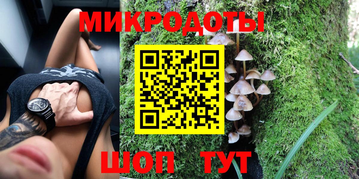 Псилоцибиновые грибы мицелий Отрадный