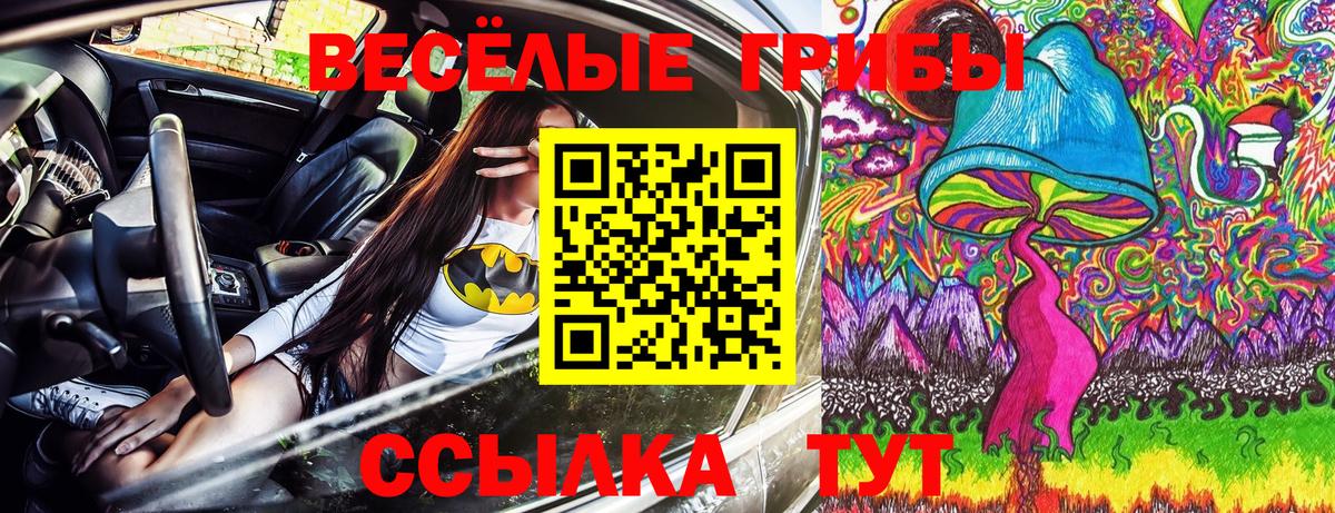 Галлюциногенные грибы MAGIC MUSHROOMS  Вход с VPN  Отрадный 